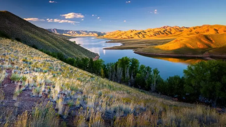 A winter morning at Upper Cottonwood Creek Wildlife Area. Reflections of the San Luis Reservoir under a clear blue sky. Snow-capped mountains rise in the distance. Golden grasses and scattered green trees in the foreground.