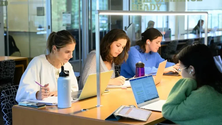 Students Studying