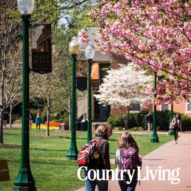 Wake Forest campus featured in Country Living (revised)