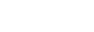 White masthead logo for Wake Forest Business