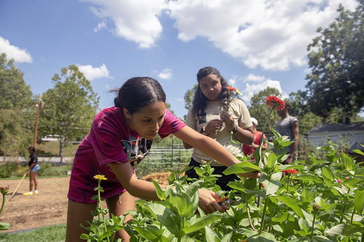 Wake Forest students working in the Campus Garden sustainability initiative program